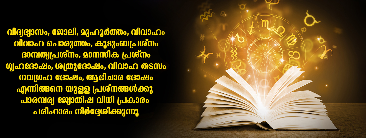 best astrologer in kottayam
